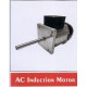 AC INDUCTION MOTOR