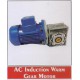 AC INDUCTION WARM GEAR MOTOR